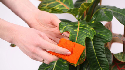 post_thumb_preview
