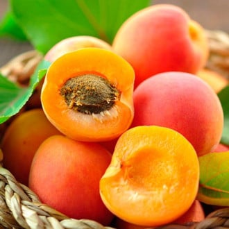 Персик-абрикос изображение 1