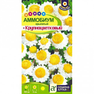 Аммобиум Крупноцветковый Семена Алтая изображение 1
