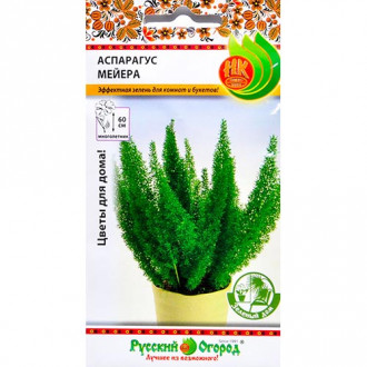 Аспарагус Мейера, семена изображение 6