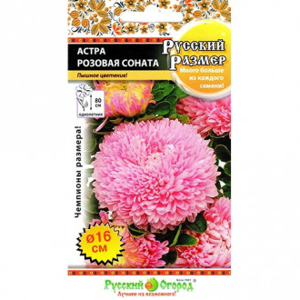 Астра Русский Размер Розовая соната, семена изображение 5