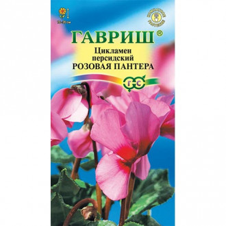 Цикламен персидский Розовая пантера, семена изображение 2