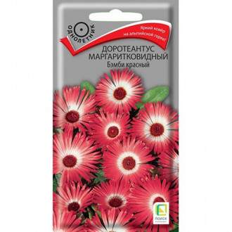 Доротеантус маргаритковидный Бэмби красный, семена изображение 5