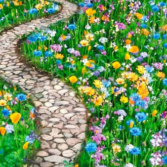 Газон цветущий Дорога к дому, смесь окрасок Русский огород НК изображение 3