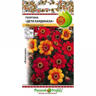 Георгина Дети Кардинала, смесь окрасок изображение 6