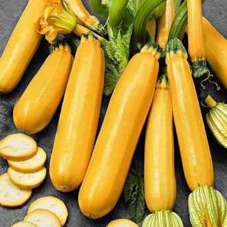 Кабачок Оранжевый Король Premium Seeds изображение 2