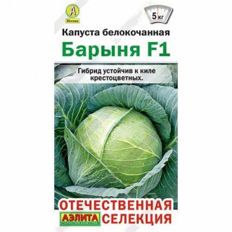 Капуста белокочанная Барыня F1 Аэлита изображение 2