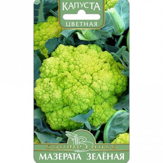 Капуста цветная Мазерата, семена изображение 4
