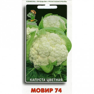 Капуста цветная Мовир 74, семена изображение 5