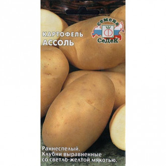 Картофель Ассоль, семена изображение 5