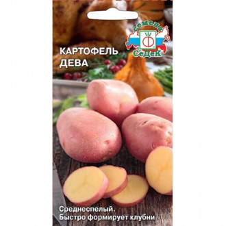 Картофель Дева, семена изображение 5