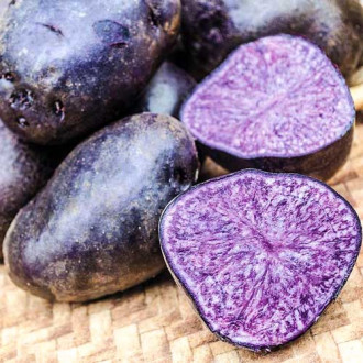 Картофель Фиолетовый изображение 6