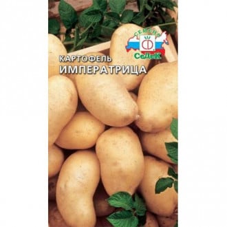 Картофель Императрица, семена изображение 4