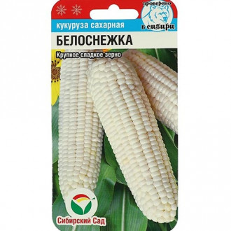 Кукуруза Белоснежка, семена изображение 2