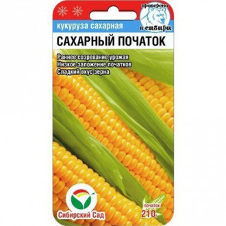 Кукуруза Сахарный початок Сибирский сад изображение 5