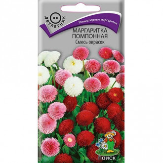 Маргаритка помпонная, смесь окрасок изображение 3