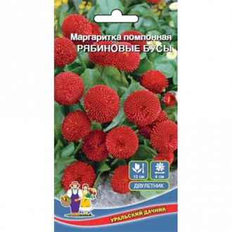 Маргаритка Рябиновые бусы, семена изображение 4