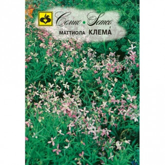 Маттиола двурогая Клема, семена изображение 5