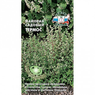Майоран садовый Термос, семена изображение 1