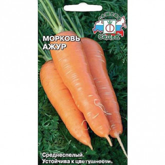 Морковь Ажур, семена изображение 6