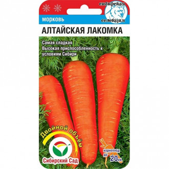 Морковь Алтайская лакомка Сибирский сад изображение 6
