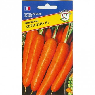 Морковь Аттилио Престиж изображение 4