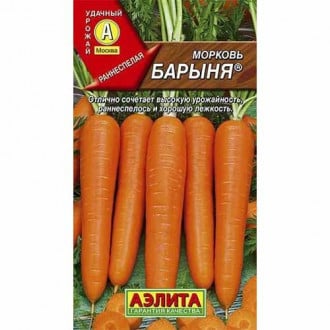 Морковь Барыня Аелита изображение 4