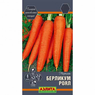 Морковь Берликум роял Аэлита изображение 6