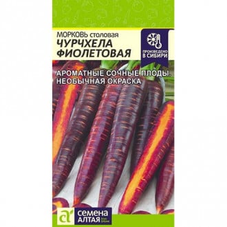 Морковь Чурчхела Фиолетовая Семена Алтая изображение 1