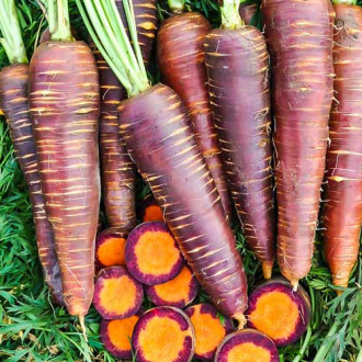 Морковь Королева фиолетовая F1 изображение 6