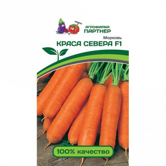 Морковь Краса Севера F1, семена изображение 2