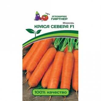 Морковь Краса Севера F1, семена изображение 5