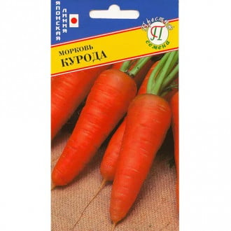 Морковь Курода-шантенэ Престиж изображение 3