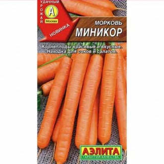 Морковь Миникор Аелита изображение 6
