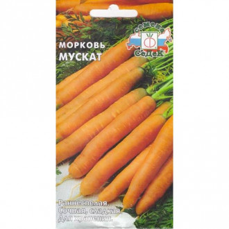 Морковь Мускат, семена изображение 1
