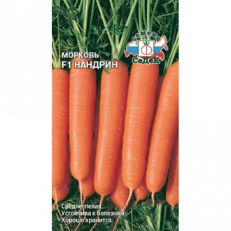 Морковь Нандрин F1, семена изображение 4