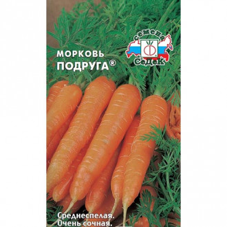 Морковь Подруга, семена изображение 3