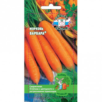 Морковь Варвара, семена изображение 5