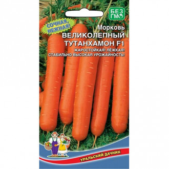 Морковь Великолепный Тутанхамон F1, семена изображение 3