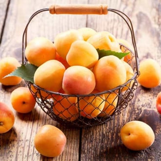 Персик-абрикос Медовый месяц изображение 3