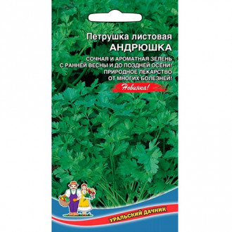 Петрушка листовая Андрюшка, семена изображение 6