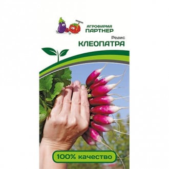 Редис Клеопатра, семена изображение 5