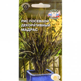 Рис декоративный Мадрас, семена изображение 1