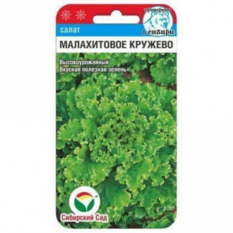 Салат листовой, кудряволистный Малахитовое кружево Сибирский Сад изображение 3