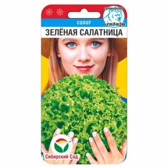 Салат листовой Зеленая салатница Сибирский сад изображение 6