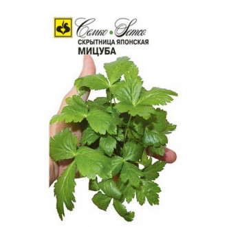 Скрытница японская Мицуба, семена изображение 1