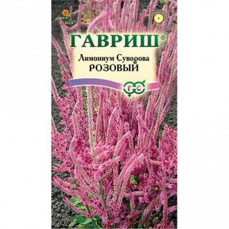 Статица (лимониум) Суворова розовый, семена изображение 3