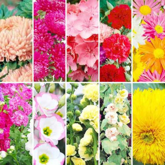 Керемет ұсыныс! 10 бумадан тұратын Цветы для букета  тұқымдар жиынтығы изображение 3