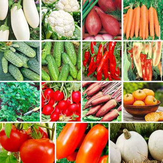 Керемет ұсыныс! 15 бумадан тұратын Традиционные овощи тұқымдар жиынтығы изображение 4