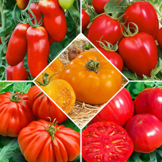 Суперпредложение! Набор семян Уникальных помидоров из 5 упаковок изображение 4